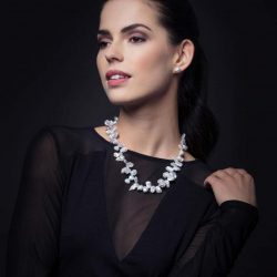 dieperle_model13 dieperle_model13